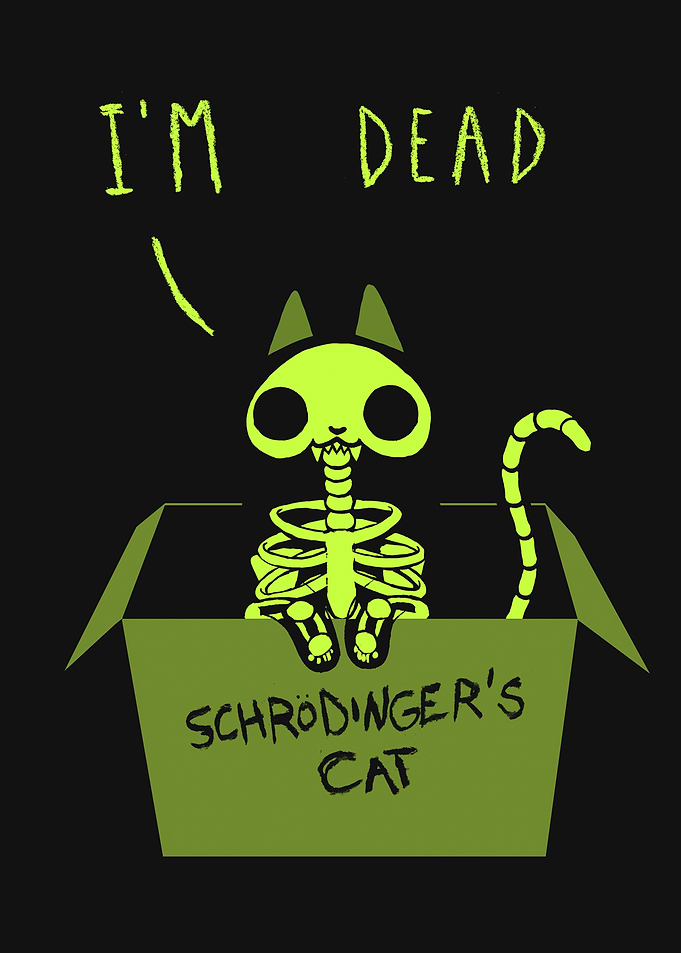 Schrodinger Cat Night
