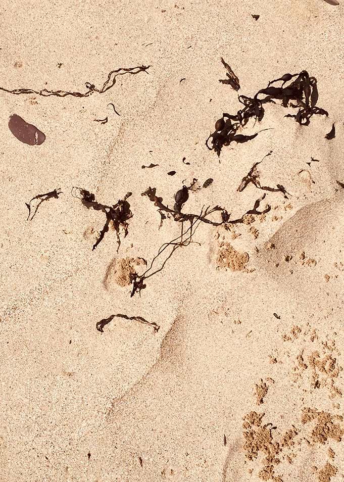 Sand Details