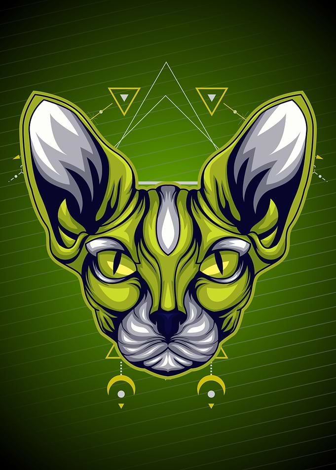 Sphynx cat vintage