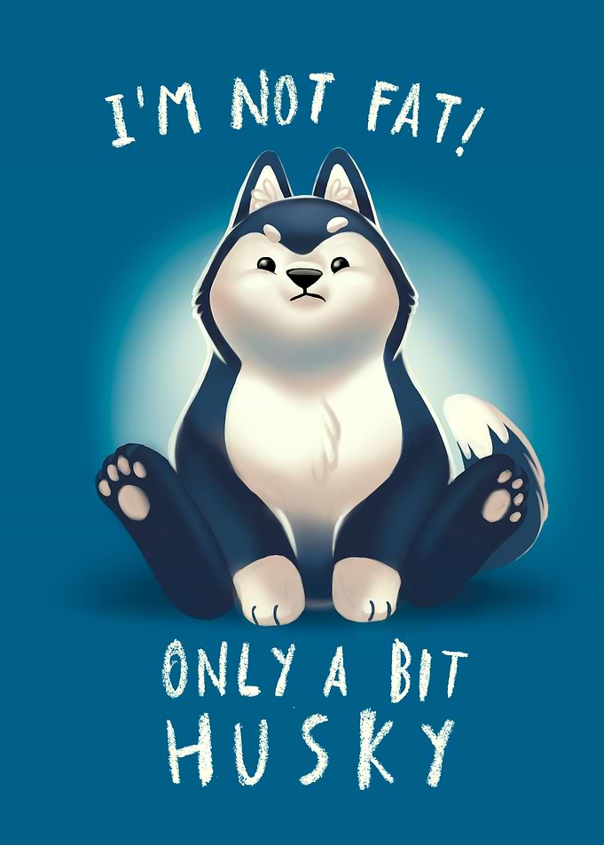 Cute Husky Dog
