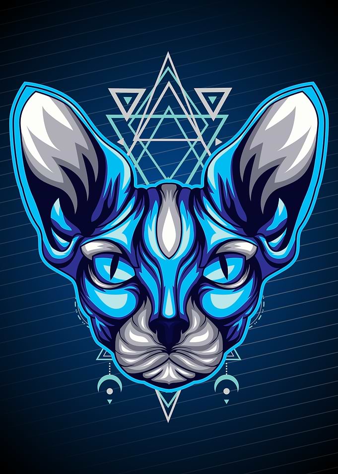 Sphynx cat ice