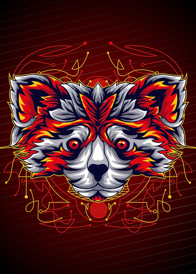 RED RACOON