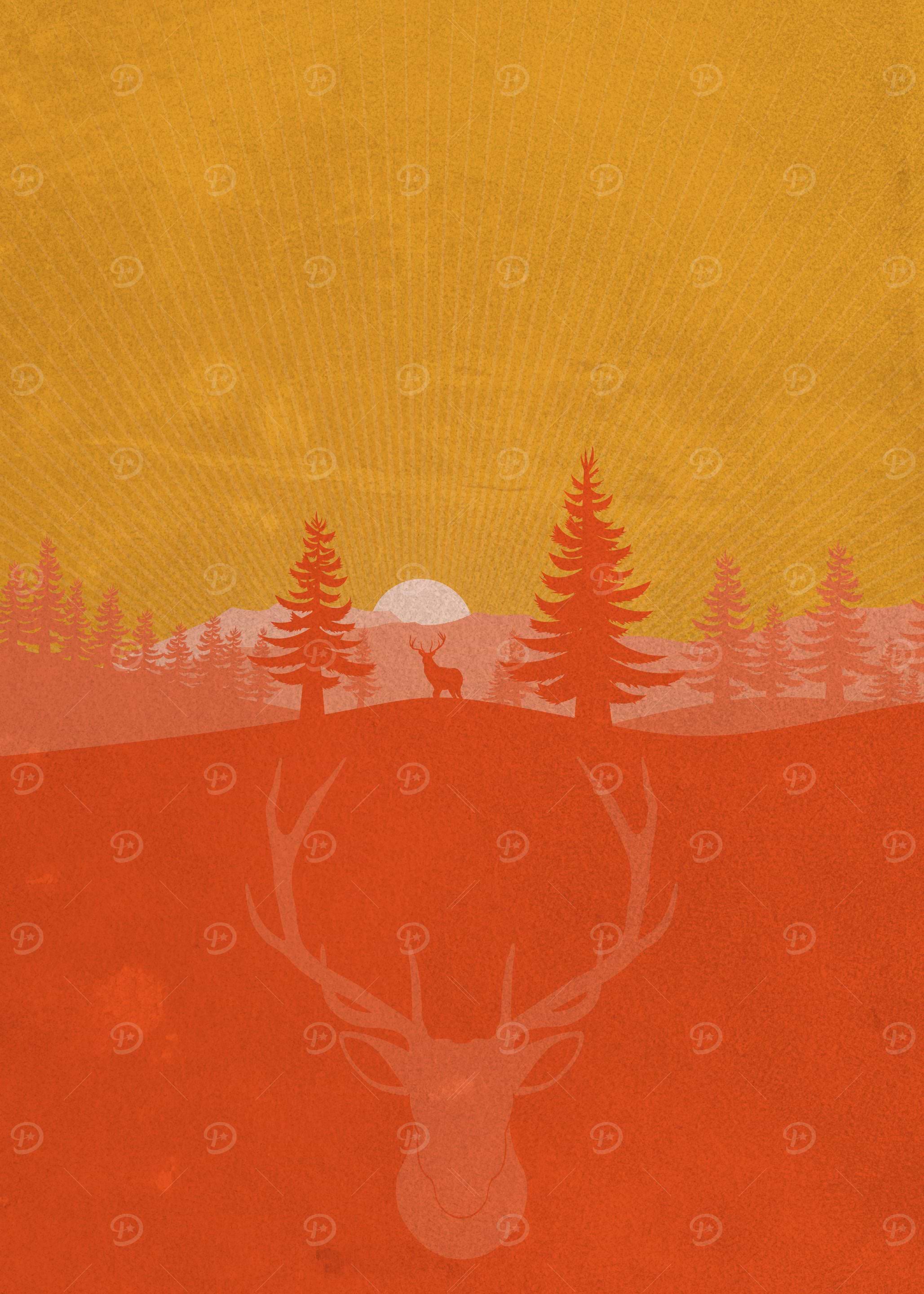 Orange Wild