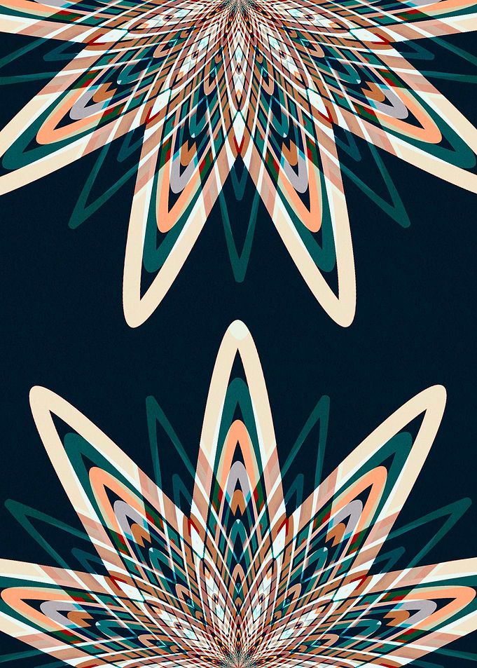 Geometric Inception
