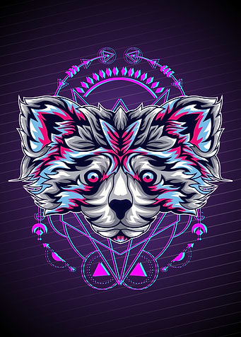 RACOON ART GLITCH
