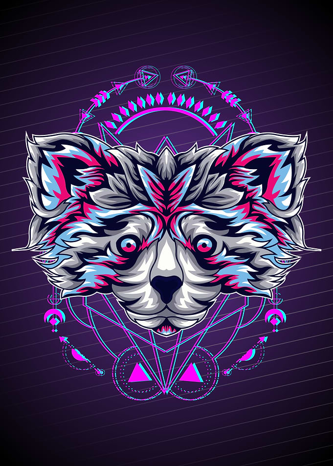 RACOON ART GLITCH