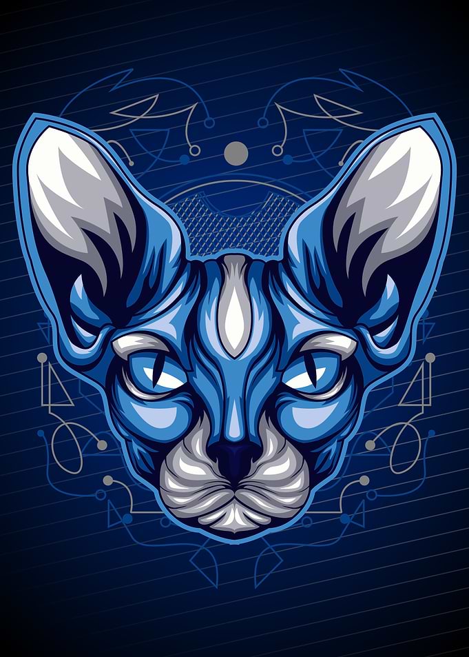 Sphynx cat geometry