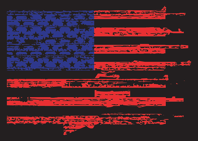 Freedom Flag In Black