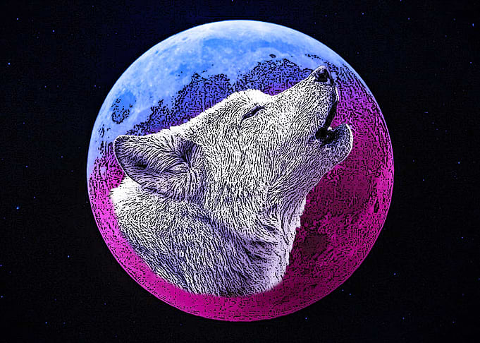 WOLF MOON