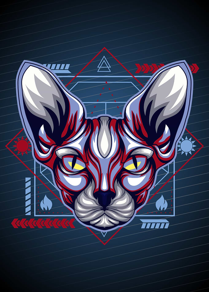 cat Sphynx blood