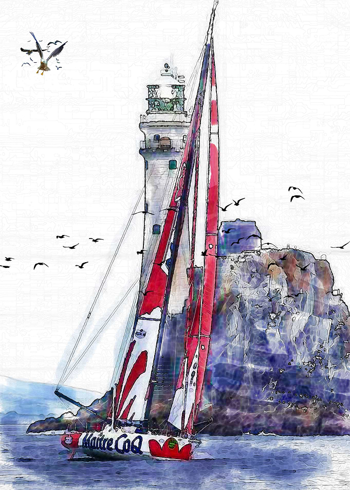 Sailing With The Seagulls