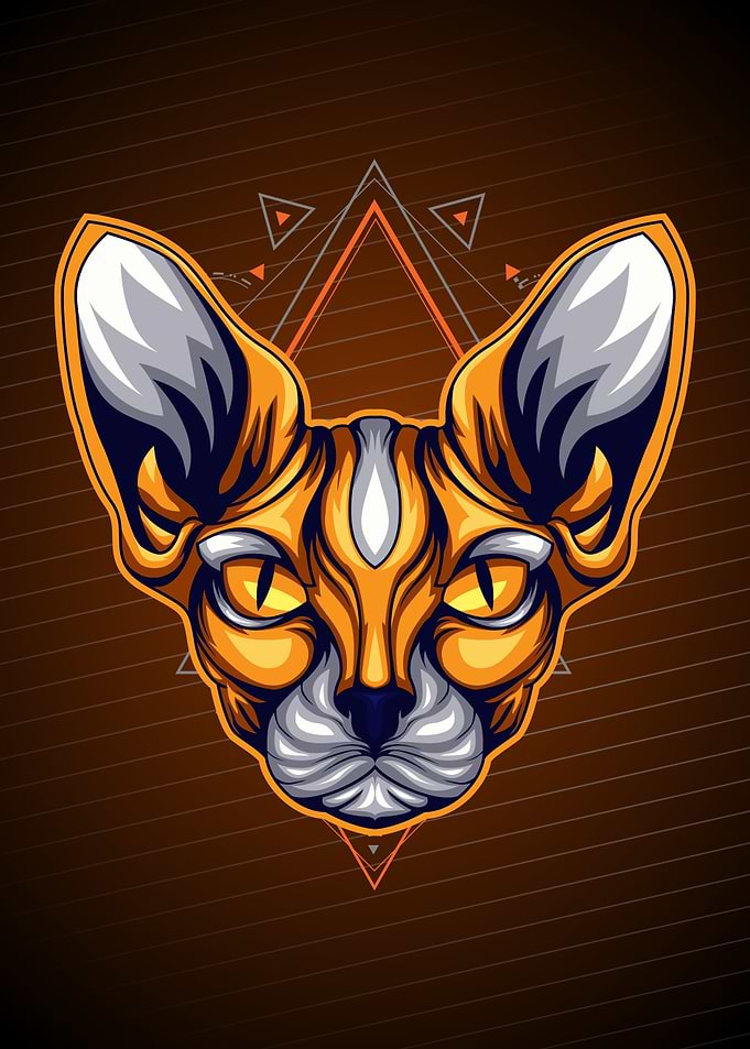 Sphynx cat gold