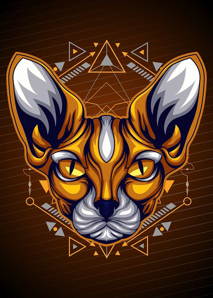 cat cute geometry