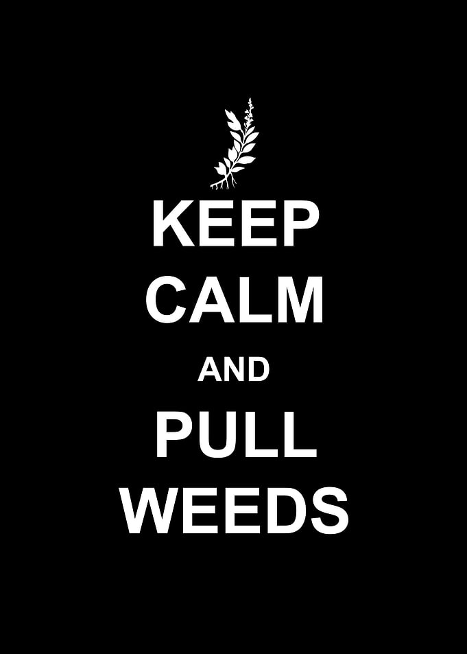 Keep Calm And Pull Weeds