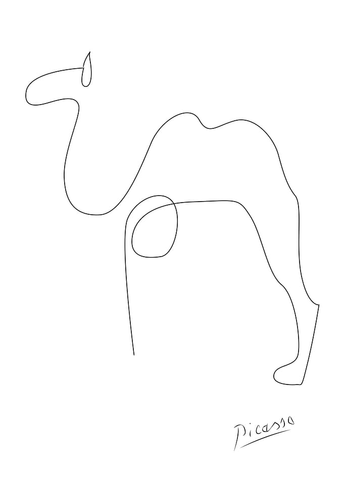 picasso camel line art