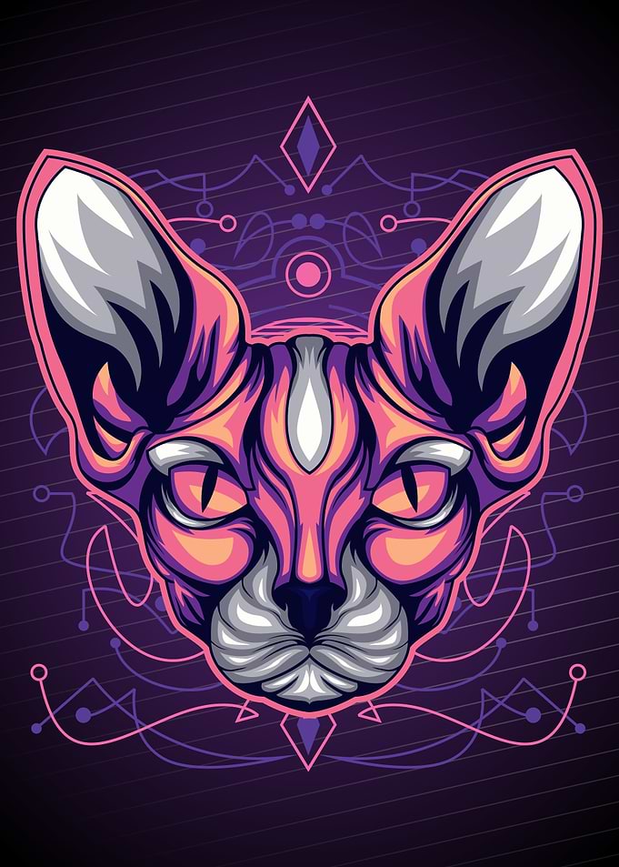 Sphynx cat cute soft