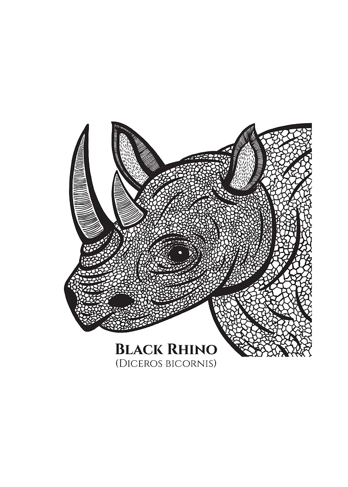 Black Rhino with Names