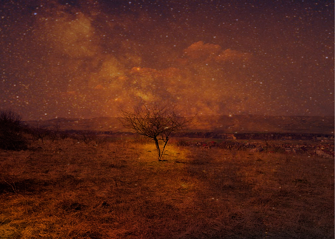 Mistery tree