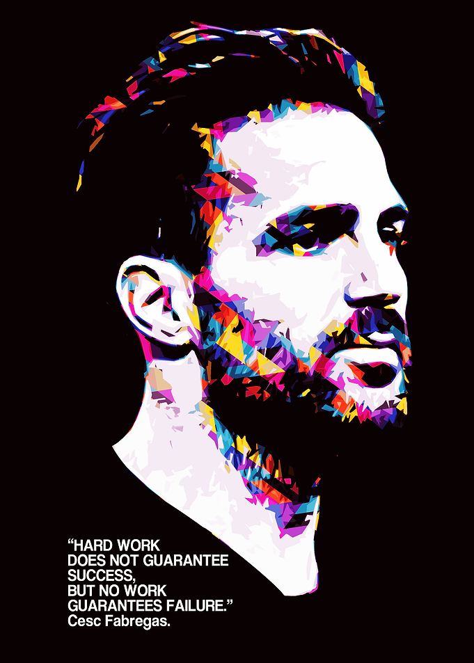 FABREGAS QUOTE