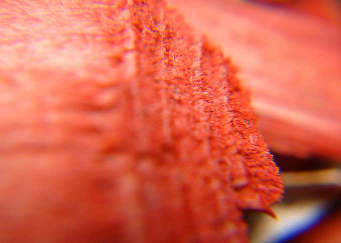 decorative red cut wood