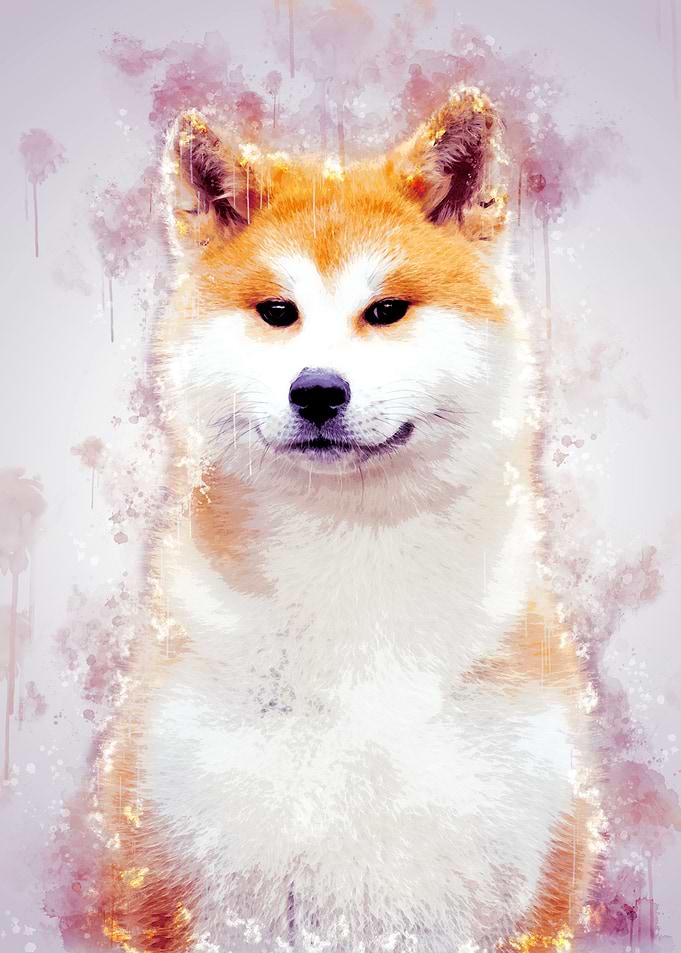 Akita Inu