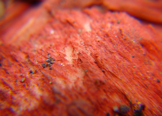 Red decorative wood