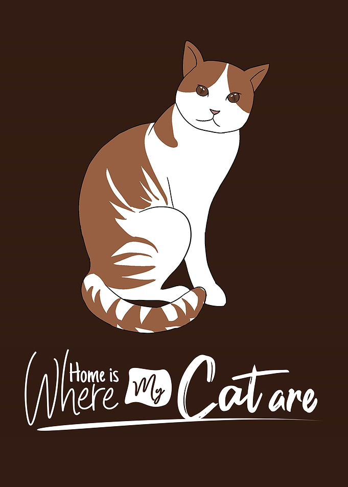 Home is where my Cat is