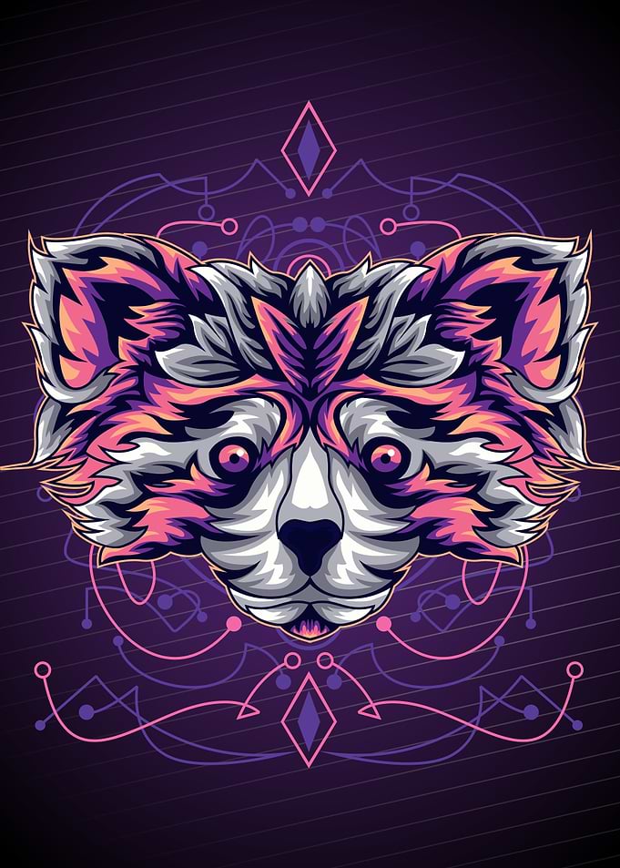 RACOON HEAD
