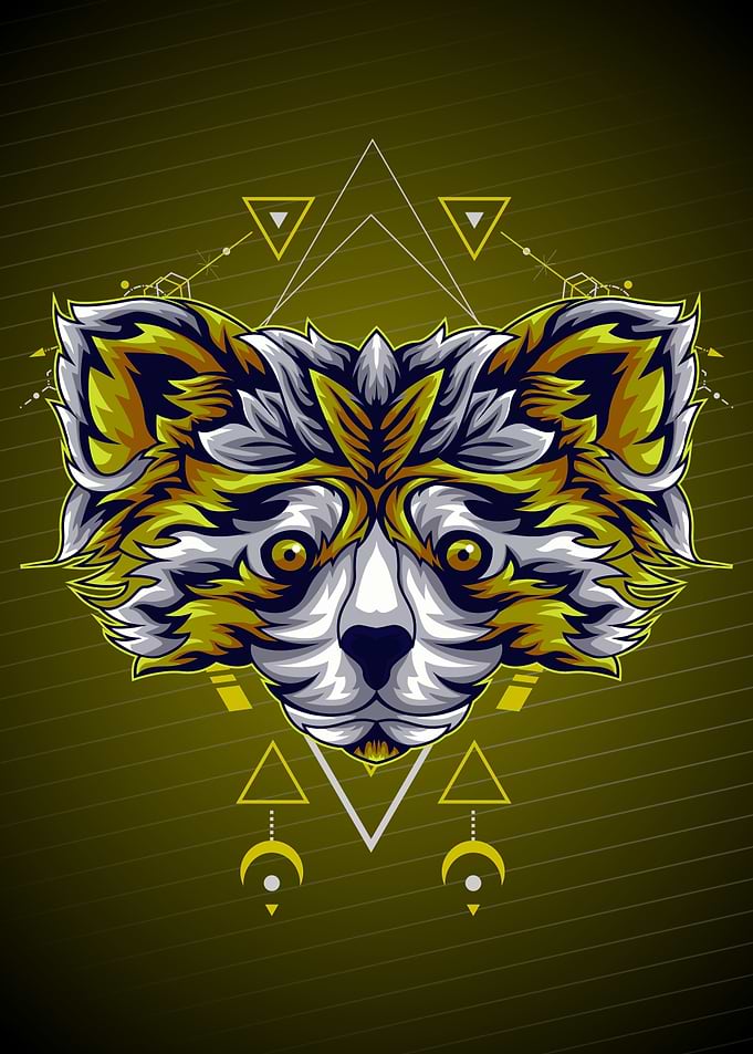 GOLD RACOON