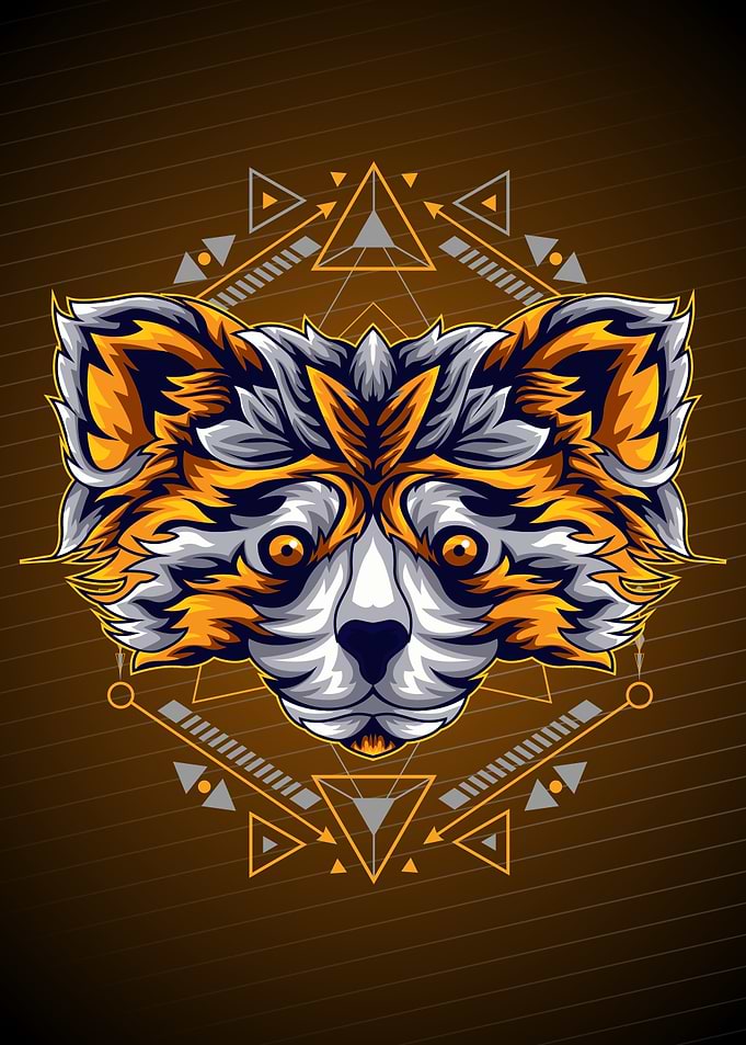 GOLD RACOON