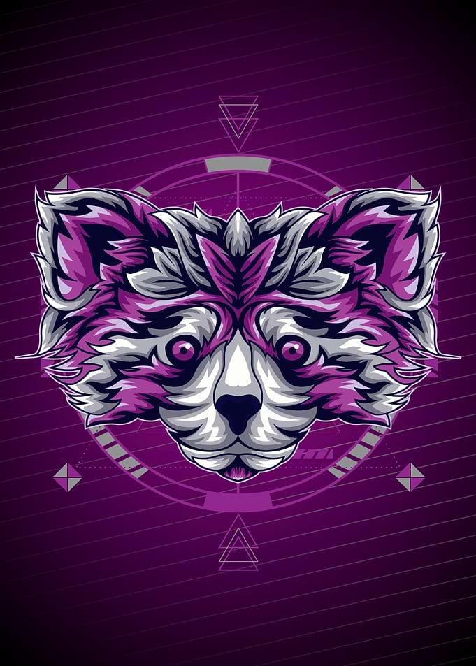 DARK RACOON