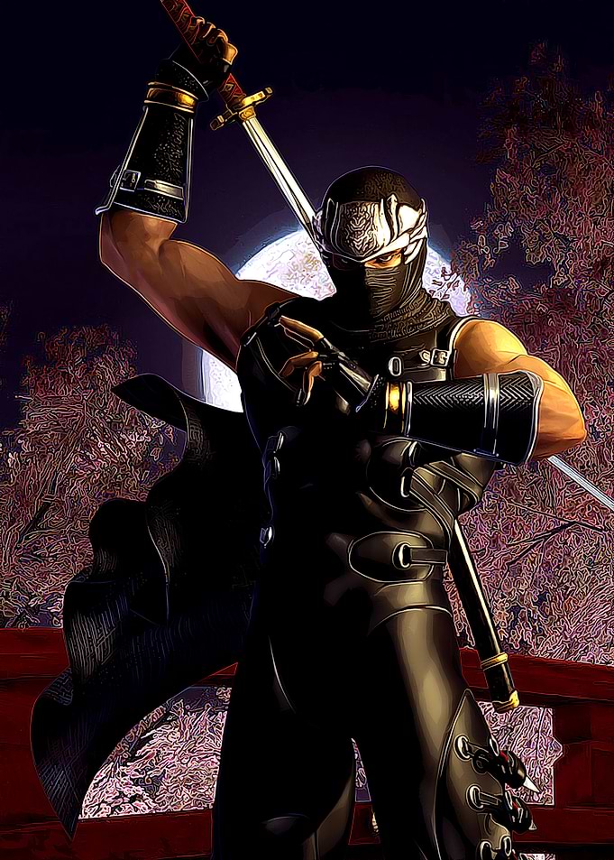 game ninja