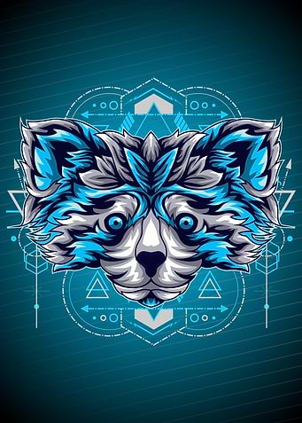 ICE RACOON