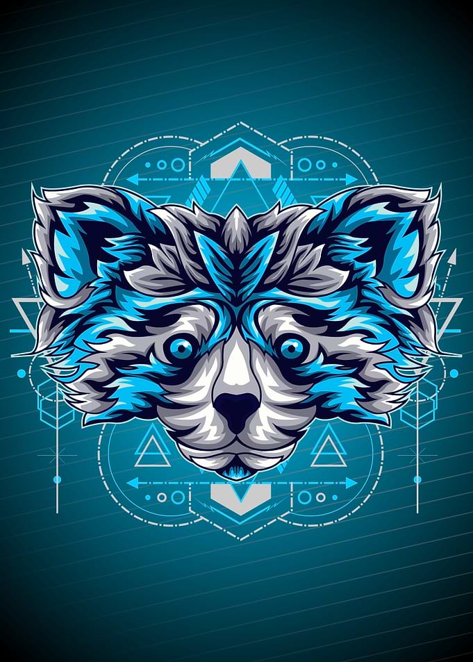 ICE RACOON