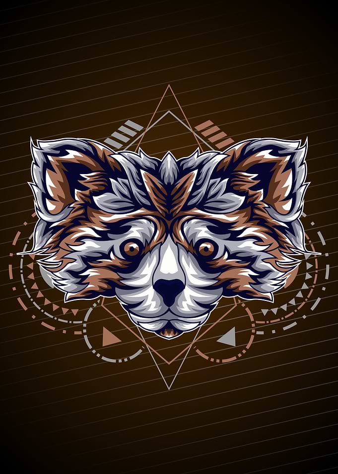 CLASSIC RACOON