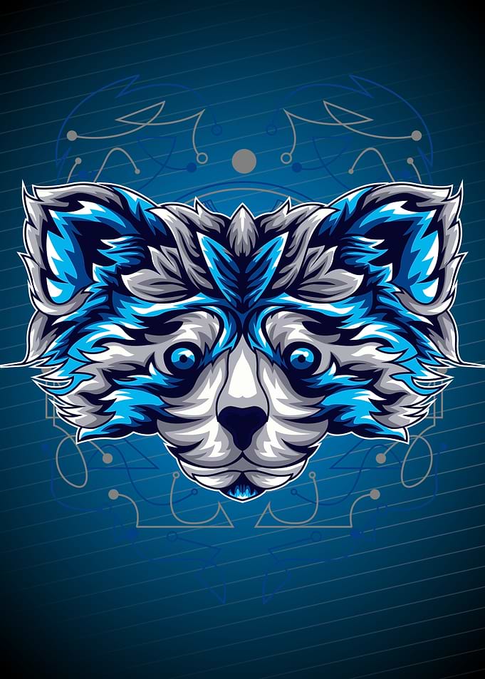 BLUE RACOON