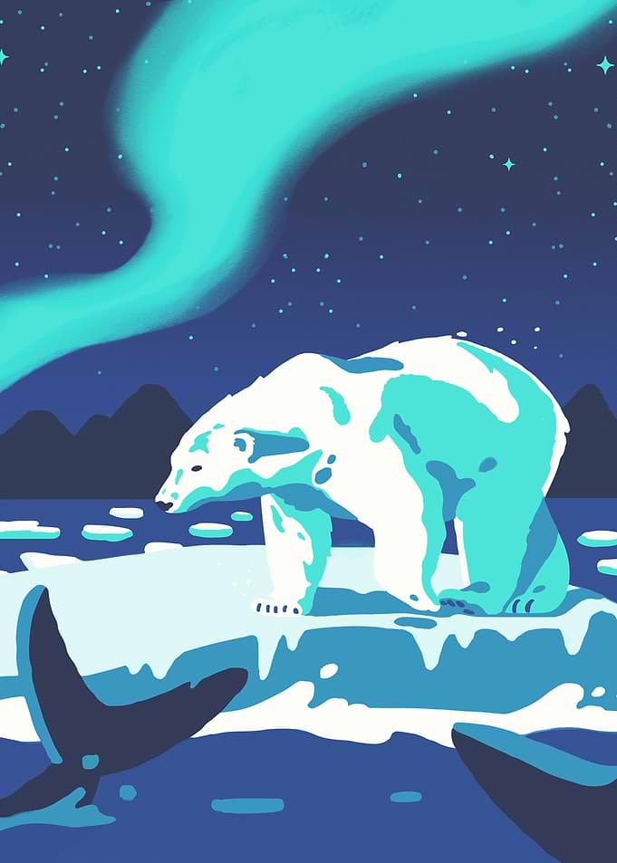 Polar bear