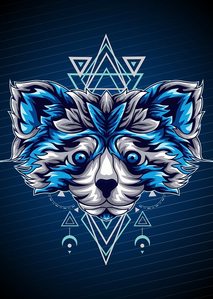 GEOMETRY RACOON