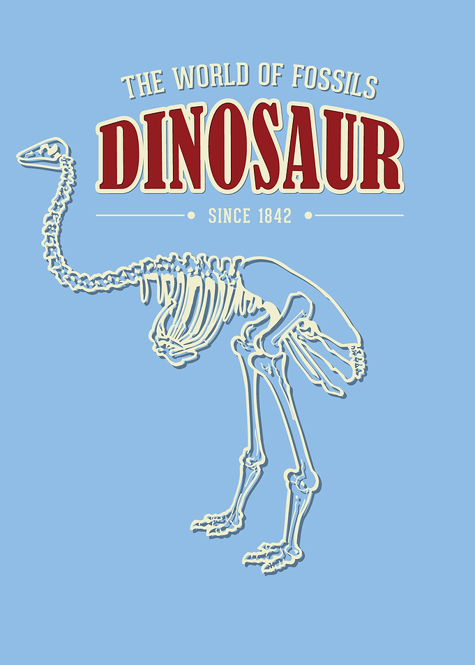 Dino Skelett Geschenk