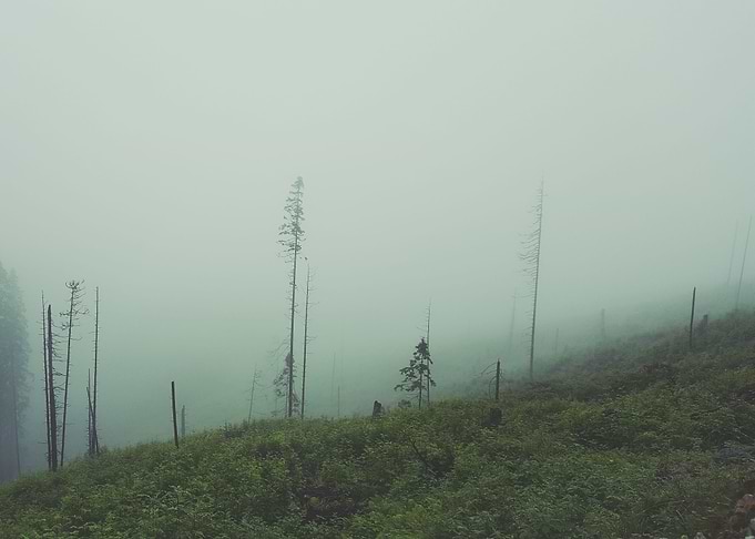 Foggy hill