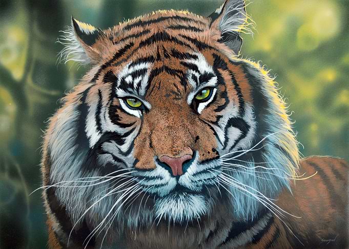 Tiger Portrait