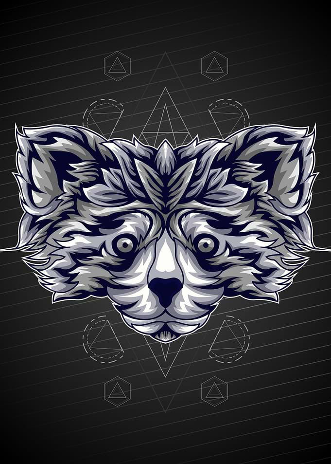 MAGNETIC RACOON