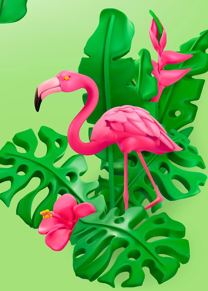 flamingo