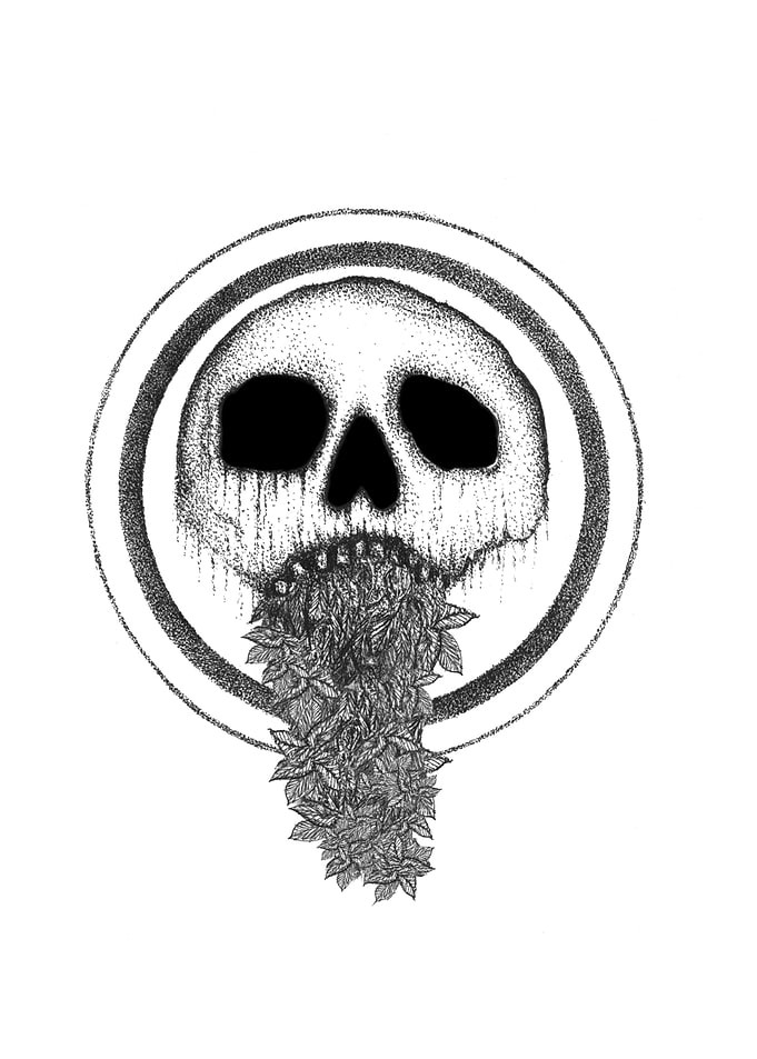 The Skull