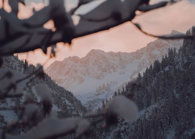 Snowy Sunrise