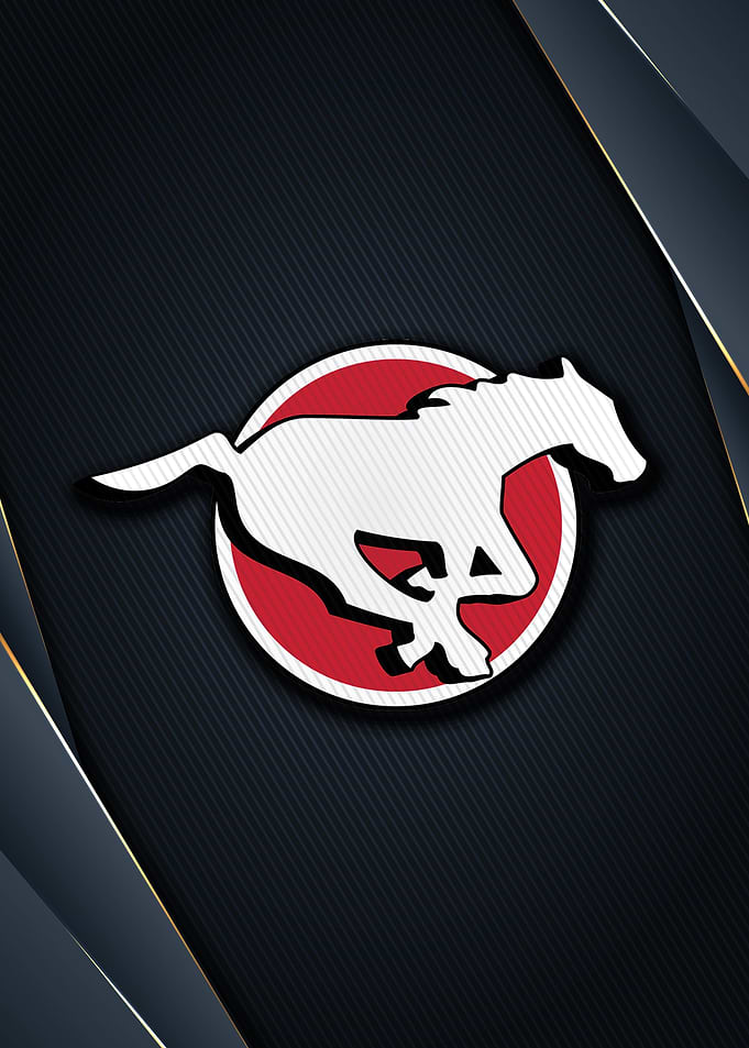 CALGARY STAMPEDERS