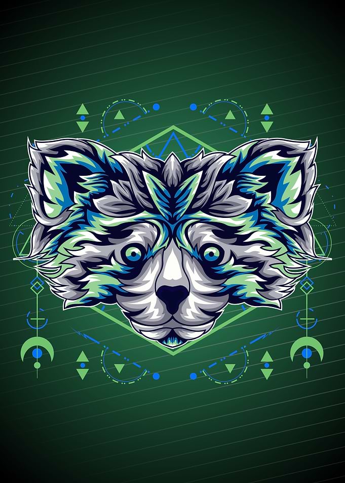 BEST RACOON
