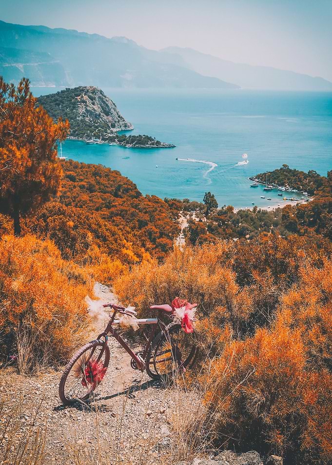 mountain bicycle