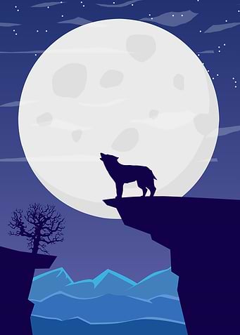 Wolf