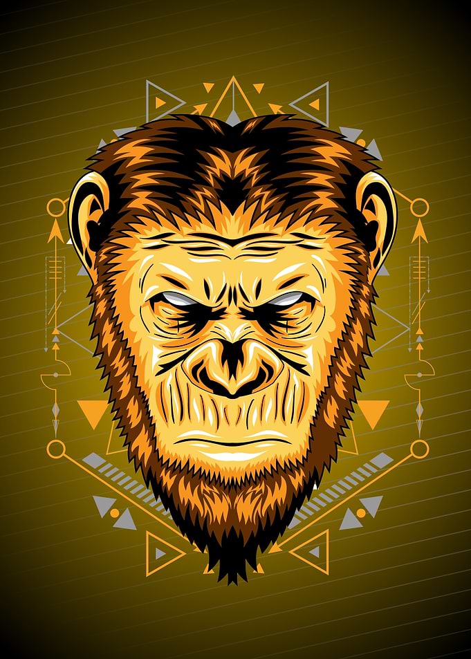 Gorilla GEOMETRIC